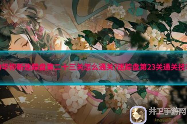 物华弥新迷踪盘第4关通关秘籍：图文攻略带你轻松闯关！